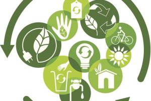 工业环保新趋势：绿色技术引领可持续发展新篇章